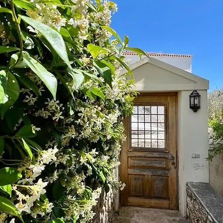 Wood & Blossom, Gcollectiongr Holiday home *